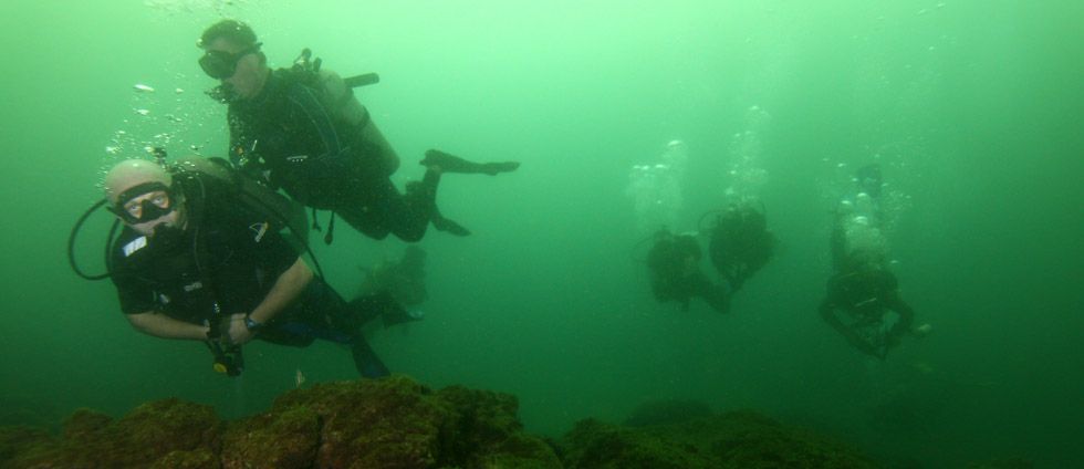 autrimpus.szczytno.pl